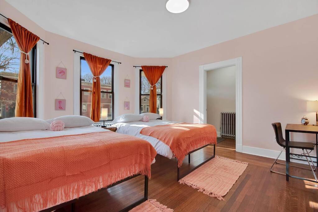 Peachy Paradise In East Rock Near Dt/Yale New Haven Exteriér fotografie